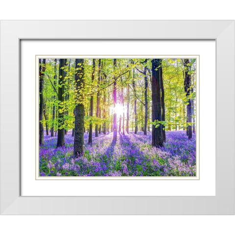 Bluebells White Modern Wood Framed Art Print with Double Matting by Frank, Assaf