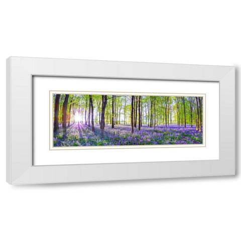 Bluebells White Modern Wood Framed Art Print with Double Matting by Frank, Assaf