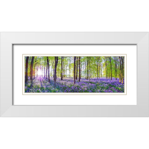 Bluebells White Modern Wood Framed Art Print with Double Matting by Frank, Assaf