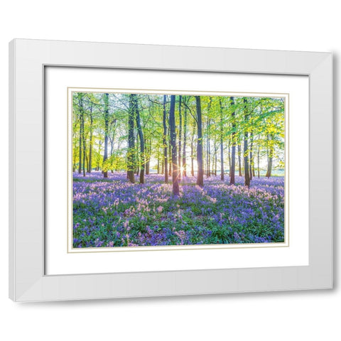 Bluebells White Modern Wood Framed Art Print with Double Matting by Frank, Assaf