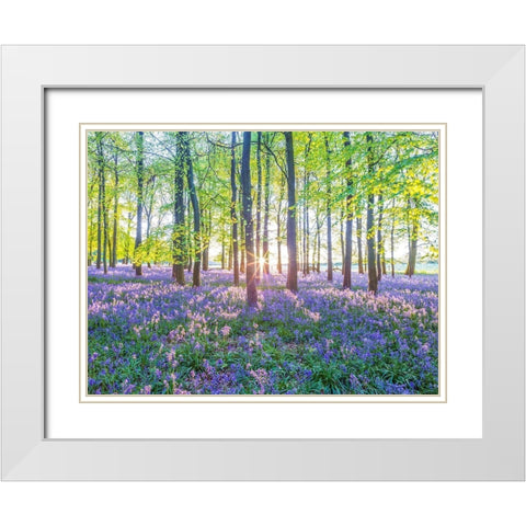 Bluebells White Modern Wood Framed Art Print with Double Matting by Frank, Assaf