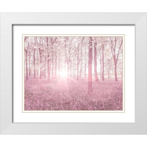 Bluebells in pink White Modern Wood Framed Art Print with Double Matting by Frank, Assaf
