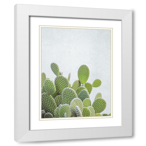 Cactus plant White Modern Wood Framed Art Print with Double Matting by Frank, Assaf