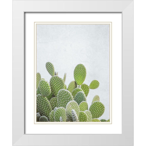 Cactus plant White Modern Wood Framed Art Print with Double Matting by Frank, Assaf