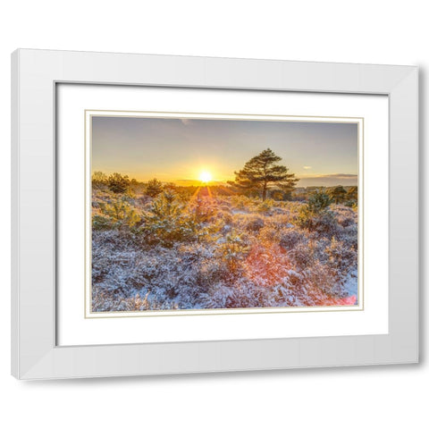Winter sunset in countryside White Modern Wood Framed Art Print with Double Matting by Frank, Assaf