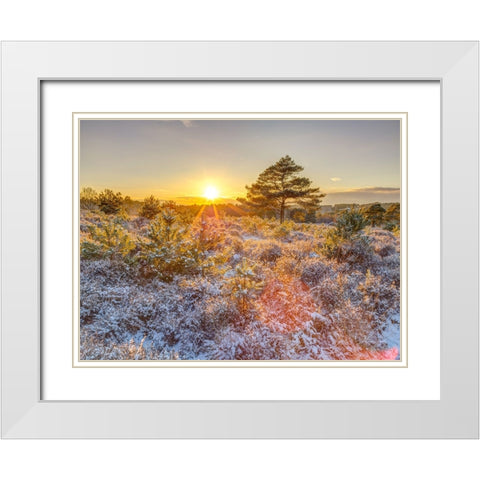 Winter sunset in countryside White Modern Wood Framed Art Print with Double Matting by Frank, Assaf