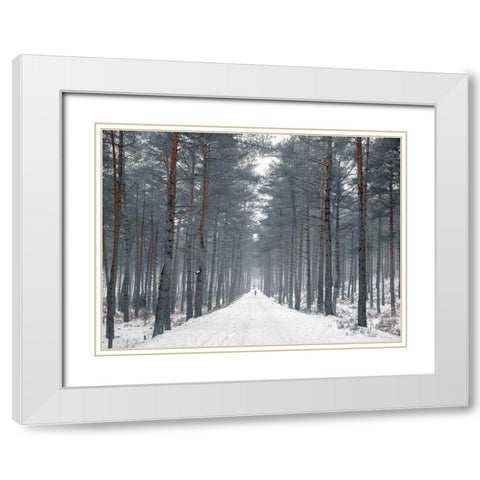 Pathway through snowy forest, FTBR-1912 White Modern Wood Framed Art Print with Double Matting by Frank, Assaf