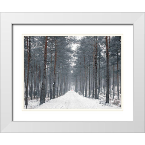 Pathway through snowy forest, FTBR-1912 White Modern Wood Framed Art Print with Double Matting by Frank, Assaf