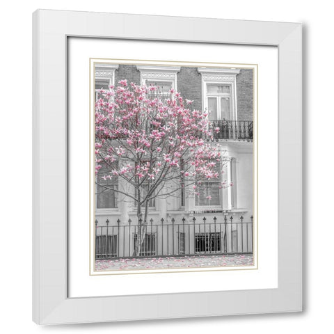 Magnolia tree outside house in London White Modern Wood Framed Art Print with Double Matting by Frank, Assaf
