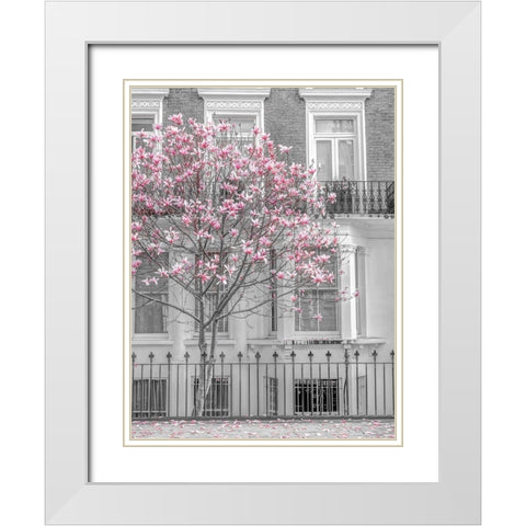 Magnolia tree outside house in London White Modern Wood Framed Art Print with Double Matting by Frank, Assaf