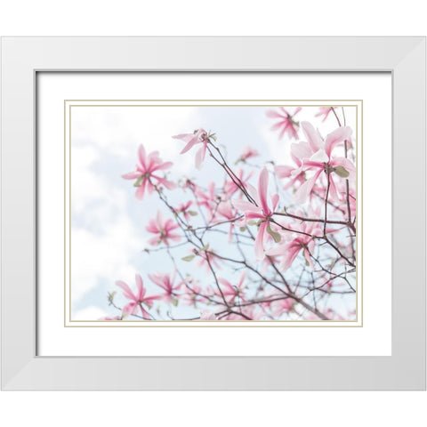 Magnolias against sky White Modern Wood Framed Art Print with Double Matting by Frank, Assaf