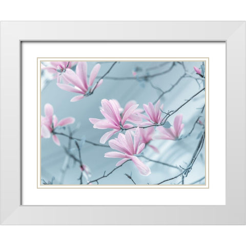 Magnolia flowers White Modern Wood Framed Art Print with Double Matting by Frank, Assaf