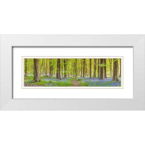 Pathway through forest White Modern Wood Framed Art Print with Double Matting by Frank, Assaf