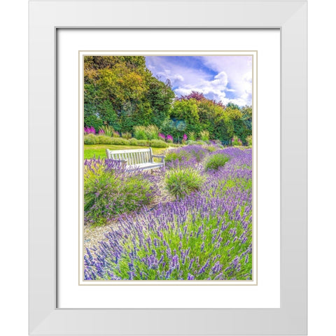 Lavender field White Modern Wood Framed Art Print with Double Matting by Frank, Assaf