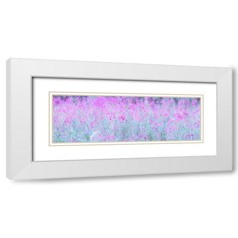 Chamaenerion flowers White Modern Wood Framed Art Print with Double Matting by Frank, Assaf
