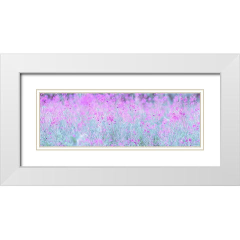 Chamaenerion flowers White Modern Wood Framed Art Print with Double Matting by Frank, Assaf