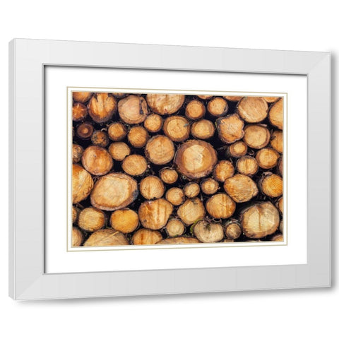 Wood logs White Modern Wood Framed Art Print with Double Matting by Frank, Assaf