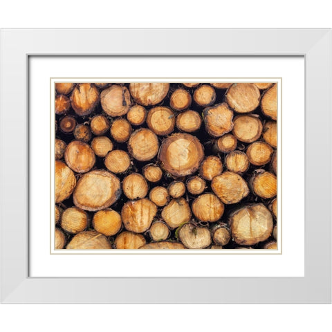 Wood logs White Modern Wood Framed Art Print with Double Matting by Frank, Assaf