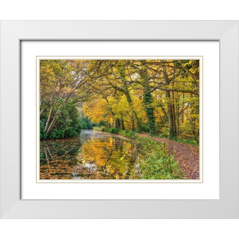 Canal through a forest White Modern Wood Framed Art Print with Double Matting by Frank, Assaf