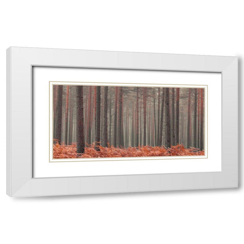 Misty Forest White Modern Wood Framed Art Print with Double Matting by Frank, Assaf