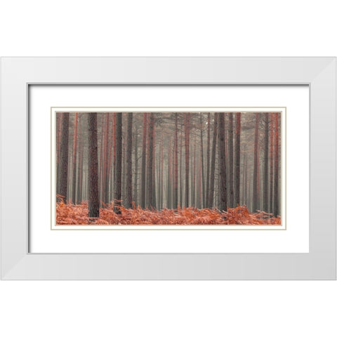 Misty Forest White Modern Wood Framed Art Print with Double Matting by Frank, Assaf