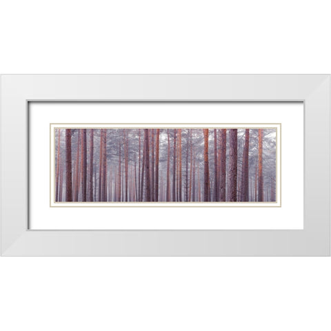 Tree trunks White Modern Wood Framed Art Print with Double Matting by Frank, Assaf