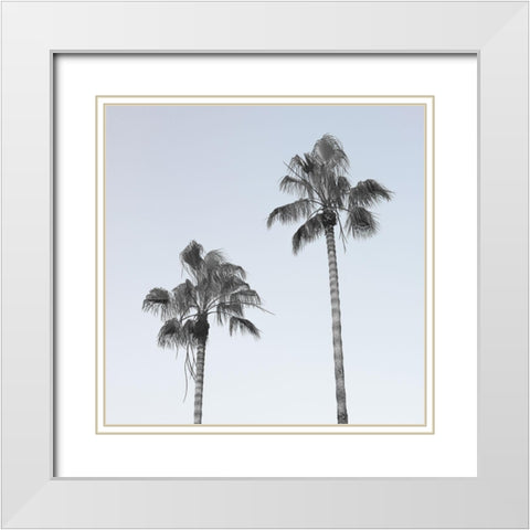 Palm trees White Modern Wood Framed Art Print with Double Matting by Frank, Assaf