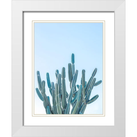 Cactus White Modern Wood Framed Art Print with Double Matting by Frank, Assaf