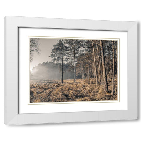 Misty forest White Modern Wood Framed Art Print with Double Matting by Frank, Assaf