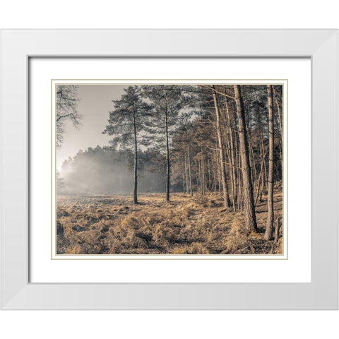 Misty forest White Modern Wood Framed Art Print with Double Matting by Frank, Assaf