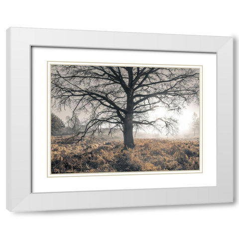 Misty forest White Modern Wood Framed Art Print with Double Matting by Frank, Assaf