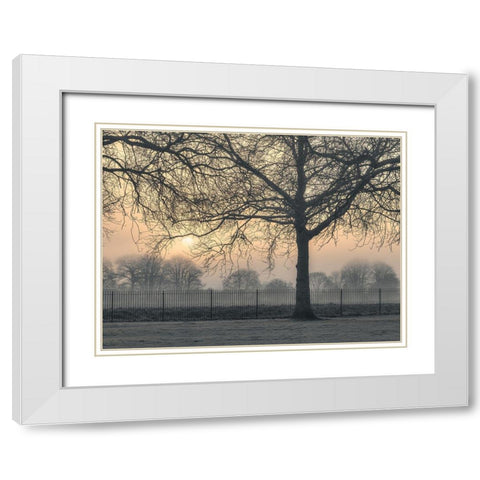 Misty morning White Modern Wood Framed Art Print with Double Matting by Frank, Assaf