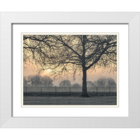 Misty morning White Modern Wood Framed Art Print with Double Matting by Frank, Assaf