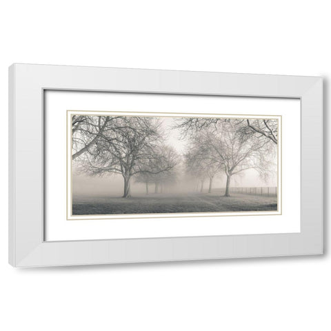 Pathway through trees White Modern Wood Framed Art Print with Double Matting by Frank, Assaf