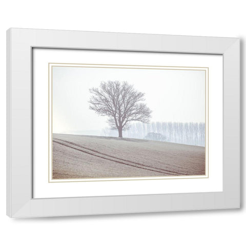 Trees on a hill White Modern Wood Framed Art Print with Double Matting by Frank, Assaf
