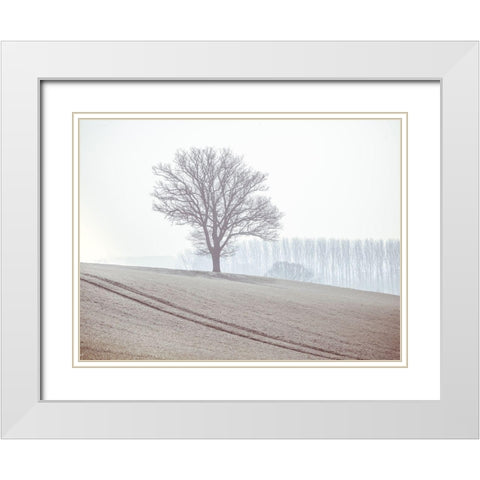 Trees on a hill White Modern Wood Framed Art Print with Double Matting by Frank, Assaf