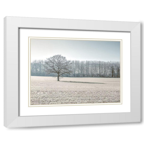 Trees on grass field White Modern Wood Framed Art Print with Double Matting by Frank, Assaf