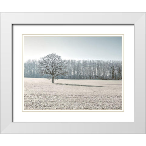 Trees on grass field White Modern Wood Framed Art Print with Double Matting by Frank, Assaf