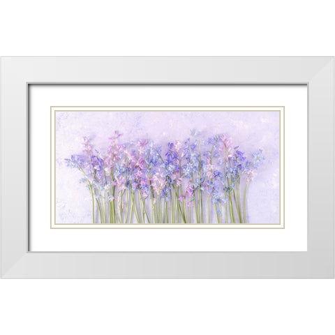 Bluebell flowers White Modern Wood Framed Art Print with Double Matting by Frank, Assaf