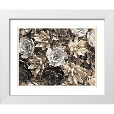 Chelsea flowers White Modern Wood Framed Art Print with Double Matting by Frank, Assaf