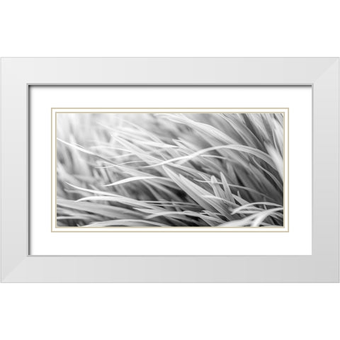 Flowing Grass White Modern Wood Framed Art Print with Double Matting by Frank, Assaf