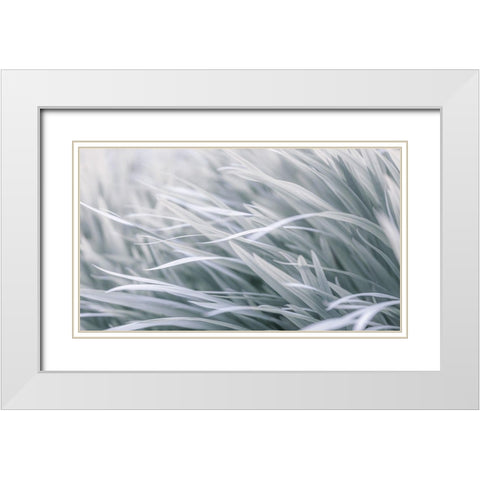 Leaves-abstract White Modern Wood Framed Art Print with Double Matting by Frank, Assaf