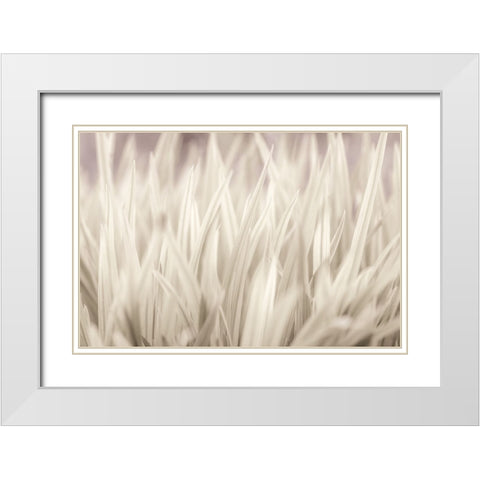 Grass White Modern Wood Framed Art Print with Double Matting by Frank, Assaf