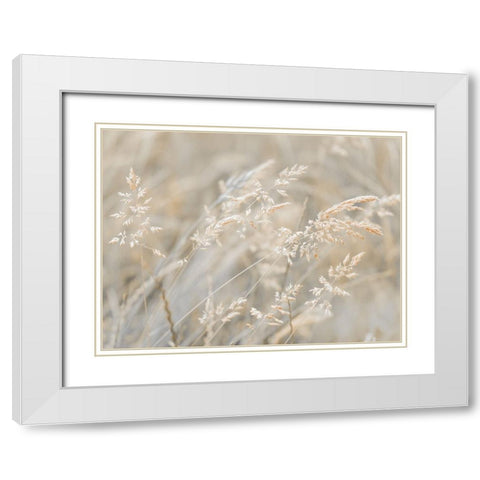 Grass Meadow White Modern Wood Framed Art Print with Double Matting by Frank, Assaf