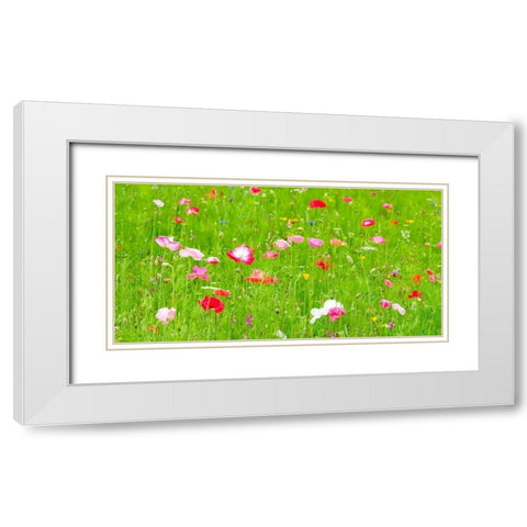 Meadow flowers White Modern Wood Framed Art Print with Double Matting by Frank, Assaf