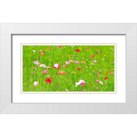 Meadow flowers White Modern Wood Framed Art Print with Double Matting by Frank, Assaf