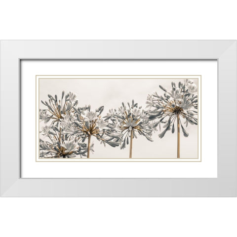 African Lily flowers White Modern Wood Framed Art Print with Double Matting by Frank, Assaf