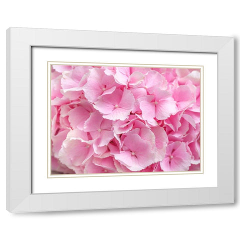 Hydrangea flower bouquet White Modern Wood Framed Art Print with Double Matting by Frank, Assaf