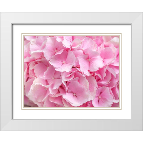 Hydrangea flower bouquet White Modern Wood Framed Art Print with Double Matting by Frank, Assaf