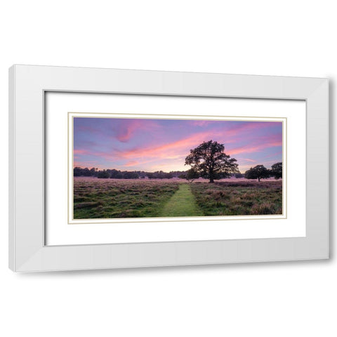 Pathway through meadow White Modern Wood Framed Art Print with Double Matting by Frank, Assaf